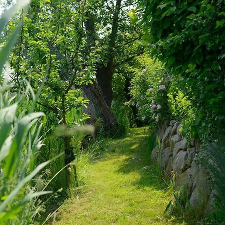 Wildrose Ferienhaus Boltenhagen  Exteriör bild