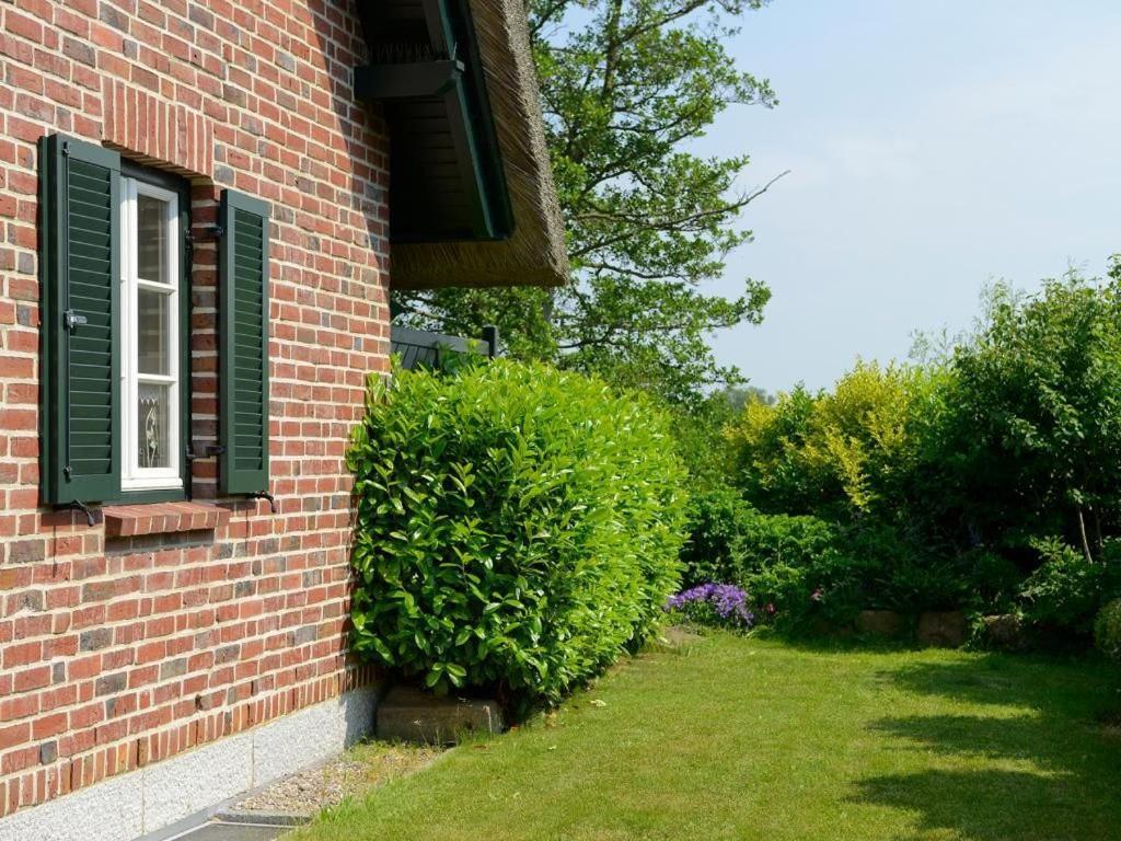 Wildrose Ferienhaus Boltenhagen  Exteriör bild