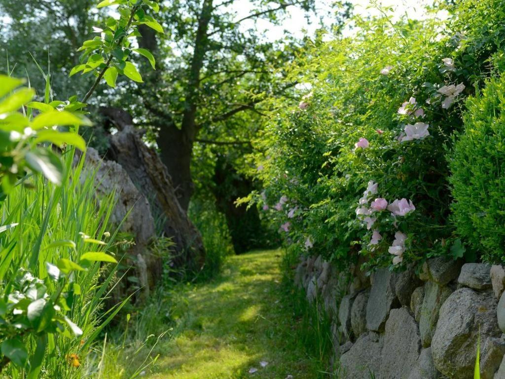 Wildrose Ferienhaus Boltenhagen  Exteriör bild