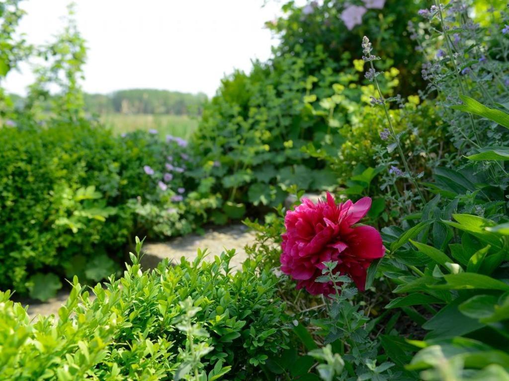 Wildrose Ferienhaus Boltenhagen  Exteriör bild